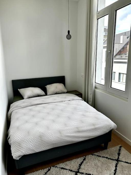 Apartment Near Central Station アントウェルペン エクステリア 写真